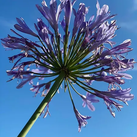 Villalino Tre Palme, Pool, 2 Schlafzimmer, 2 Baeder, Pool, Terrasse, Outdoor Fitness Апартаменты